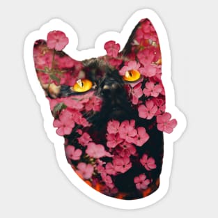 Black Cat with Amber Eyes Sticker